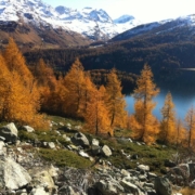 Yoga und die Kraft der Natur in Guarda 17.09.-20.09.2026